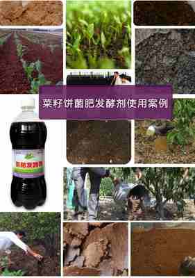 菜籽餅作為生物有機肥料的處理方法與研發前景