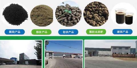 京陽生物致力打造大型純植物源有機肥生產基地，引領綠色農業新風尚