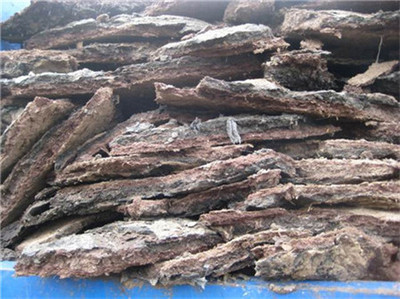 海南臨高椰子種植專(zhuān)用生物有機(jī)肥的研發(fā)與應(yīng)用前景