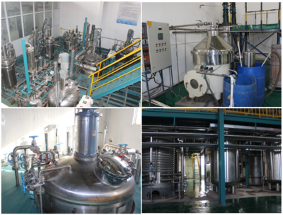 根力多生物科技新突破 年產(chǎn)五萬噸微生物菌劑及五千噸氨基酸水溶肥項(xiàng)目成功試車，引領(lǐng)生物有機(jī)肥料研發(fā)新浪潮