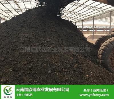 個(gè)舊微生物有機(jī)肥推薦 福欣瑞農(nóng)業(yè)，創(chuàng)新研發(fā)引領(lǐng)綠色農(nóng)業(yè)新篇章